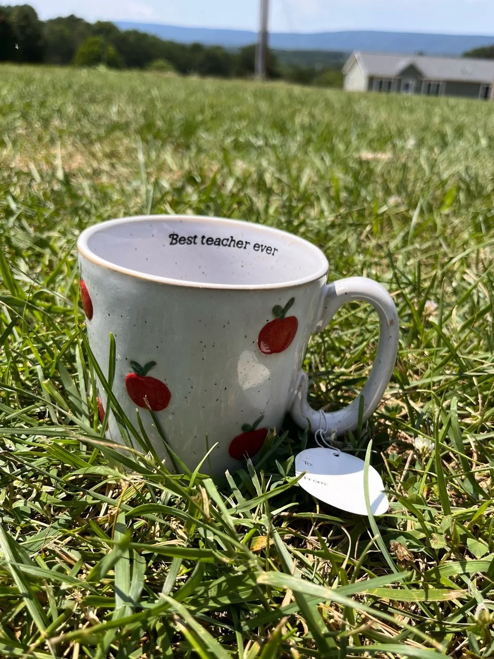 Best Teacher Ever White Ceramic Apple Mug - Teacher Appreciation Gift